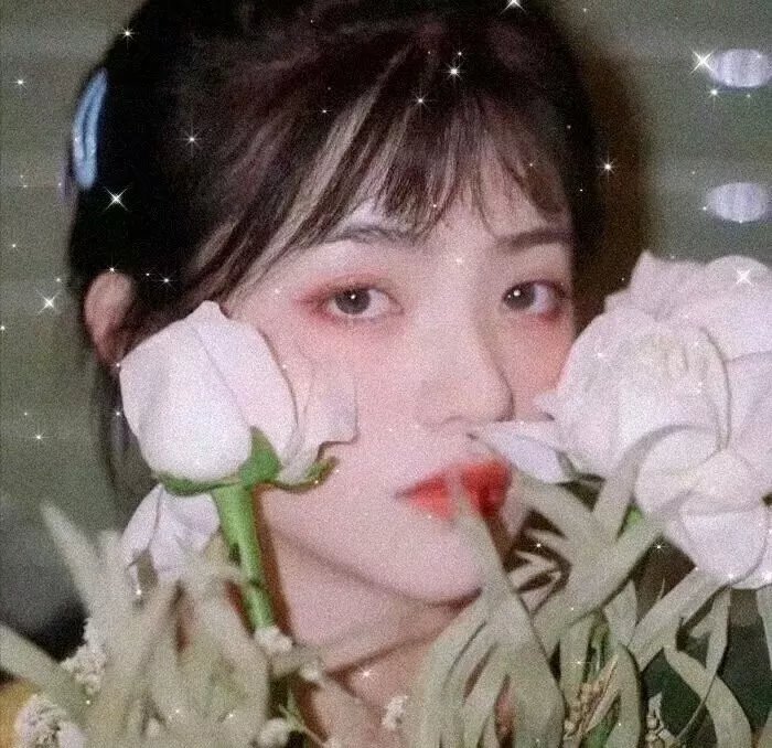 莎乐美的猜想